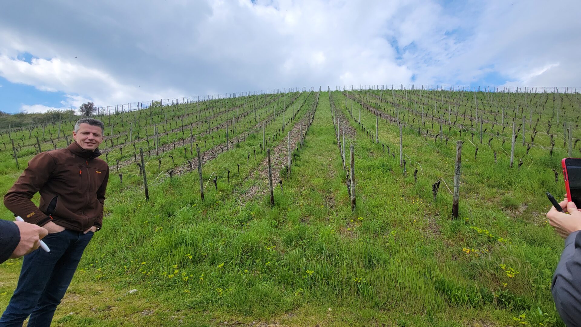 Dee Vine - Springboard Wine Company